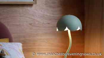 Argos' 'beautiful' rechargeable lamp slashed to £2 from £25 in clever deal stack