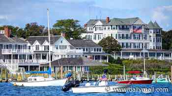 Terrified Martha's Vineyard billionaires under siege from tick that could KILL them if they hold glitzy summer burger barbecues
