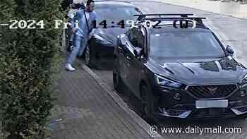 Attackers including former pro footballer found guilty of stabbing Iranian TV presenter in the street outside his Wimbledon home after they were recruited by Tehran regime
