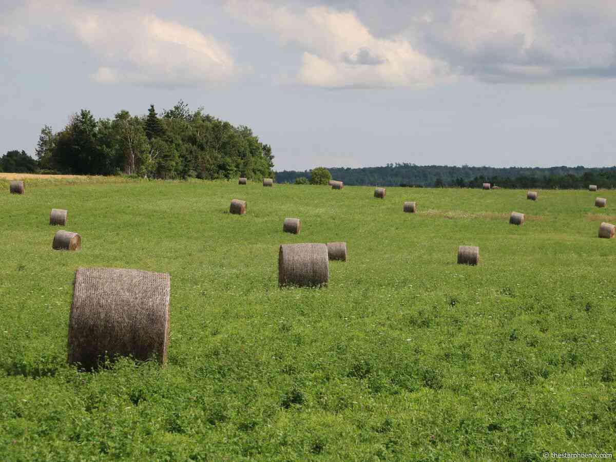 Farmland operator Monette to pay down $1 billion in debt with up to 274,000 acres of land