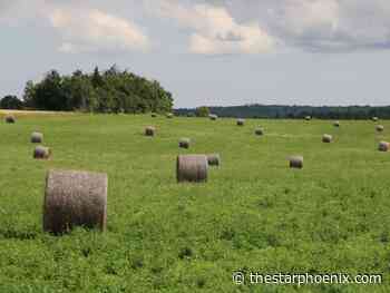 Farmland operator Monette to pay down $1 billion in debt with up to 274,000 acres of land
