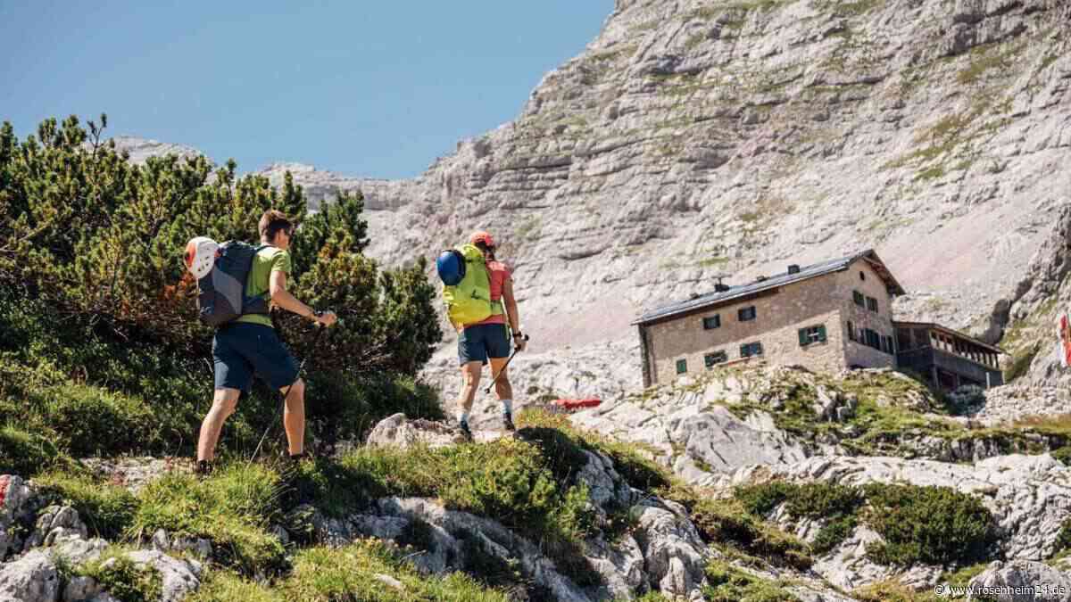 Ekel-Alarm in den Alpen: Bettwanzen breiten sich laut DAV immer weiter aus