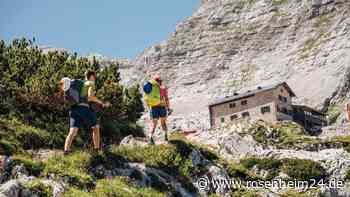 Ekel-Alarm in den Alpen: Bettwanzen breiten sich laut DAV immer weiter aus