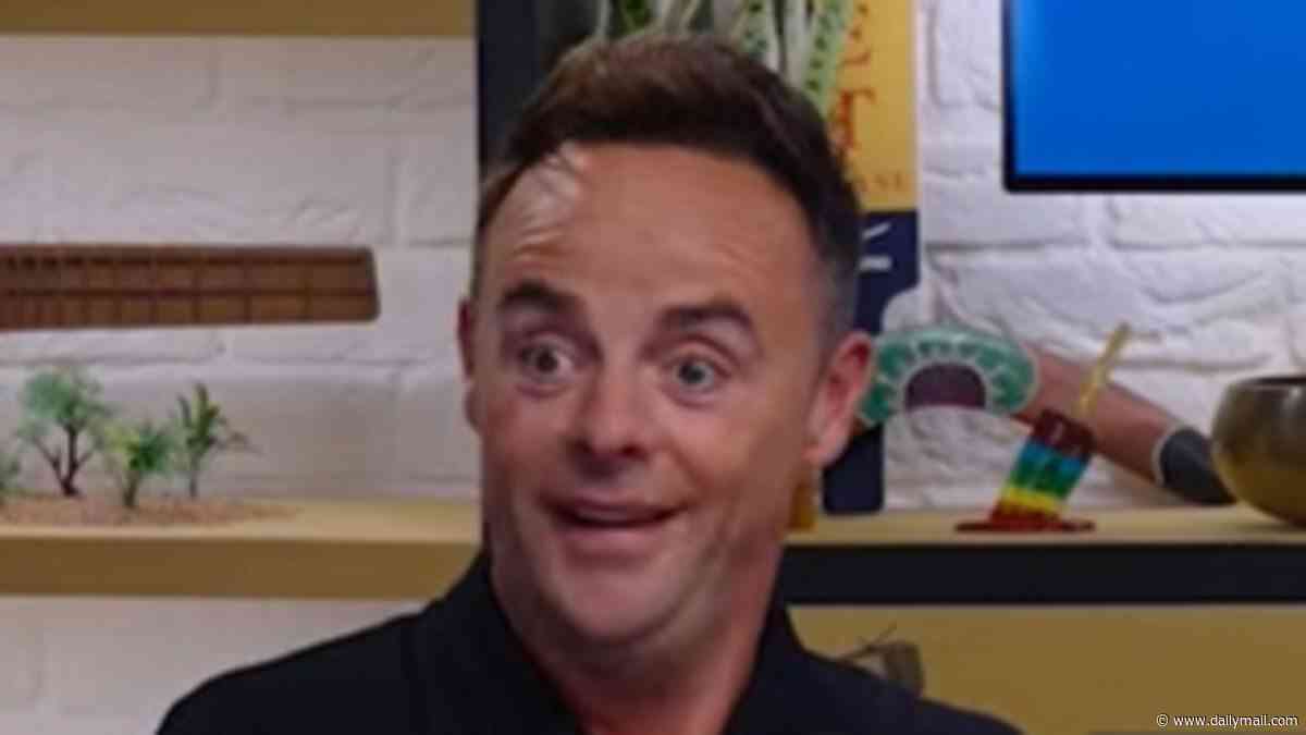 Ant McPartlin reveals wife Anne-Marie Corbett shouted out in disgust during a toe-curling family brunch with their son Wilder and his mother-in-law