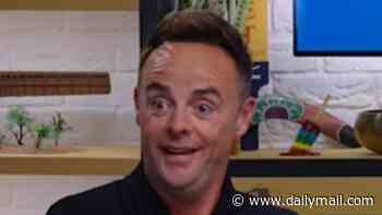 Ant McPartlin reveals wife Anne-Marie Corbett shouted out in disgust during a toe-curling family brunch with their son Wilder and his mother-in-law