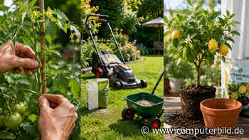 Diese Gartenarbeiten sind im Juni besonders wichtig