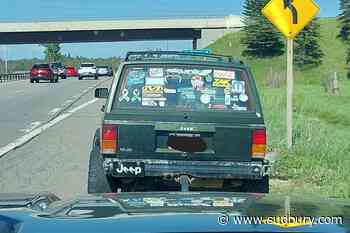 Watching a movie while driving on the highway? OPP gives it a thumbs down