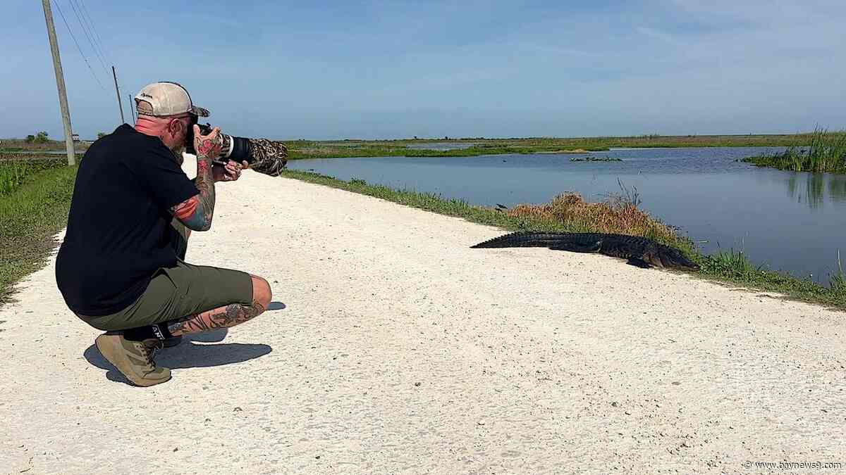 From ‘dead lake’ to wildlife paradise, Lake Apopka’s remarkable comeback draws crowds