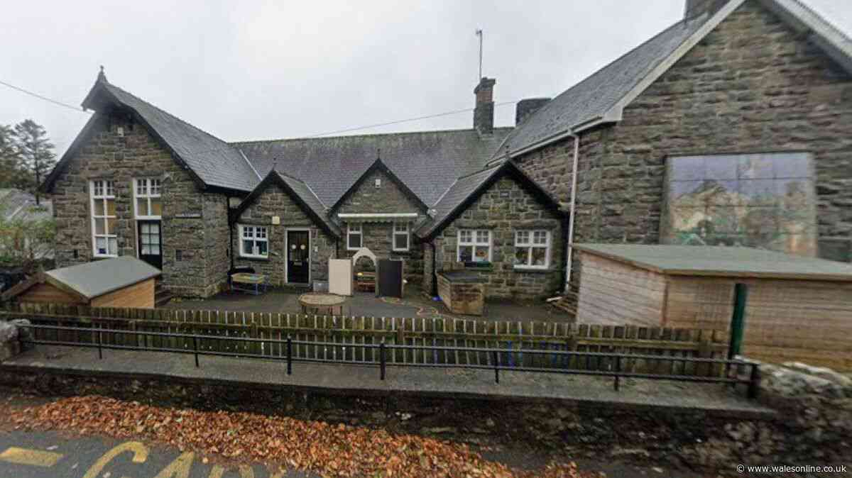 Welsh primary school has just two pupils