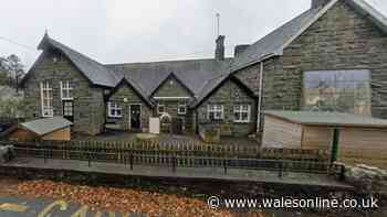 Welsh primary school has just two pupils