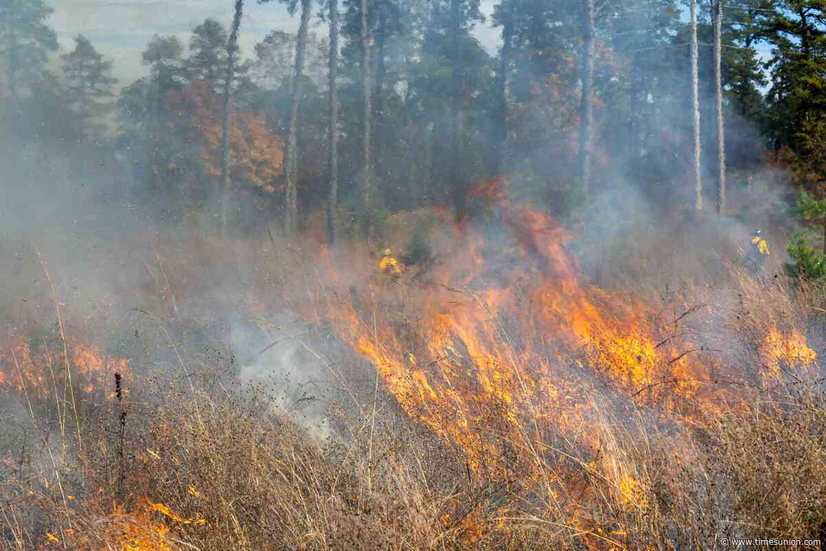 Smoky smell in Colonie is controlled burn at Pine Bush Preserve