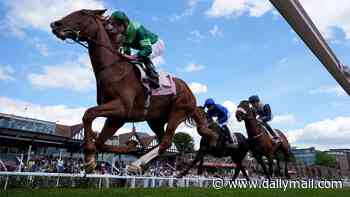 Benvenuto's the one to beat... but can you pick the winner in the big one at Epsom? Here is your ultimate guide to The Derby