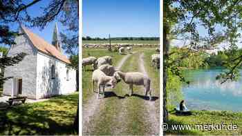 Ausflug in die Münchner Puszta: vier Smaragdseen, viel Heide und eine Geisterkirche