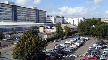 Hospital employee arrested on suspicion of rape