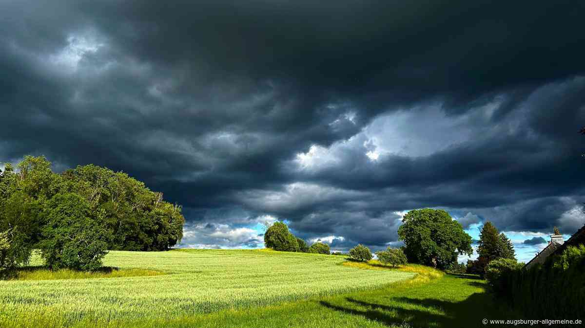 Besondere Abendstimmung: Tiefdunkle Regenwolken treffen auf ein leuchtendes Gerstenfeld