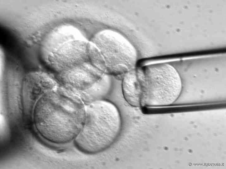 Modificati geni di embrioni umani: è la prima volta