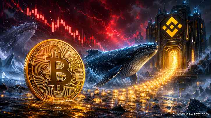 Bitcoin Whales Return To Binance As Selloff Echoes February Panic