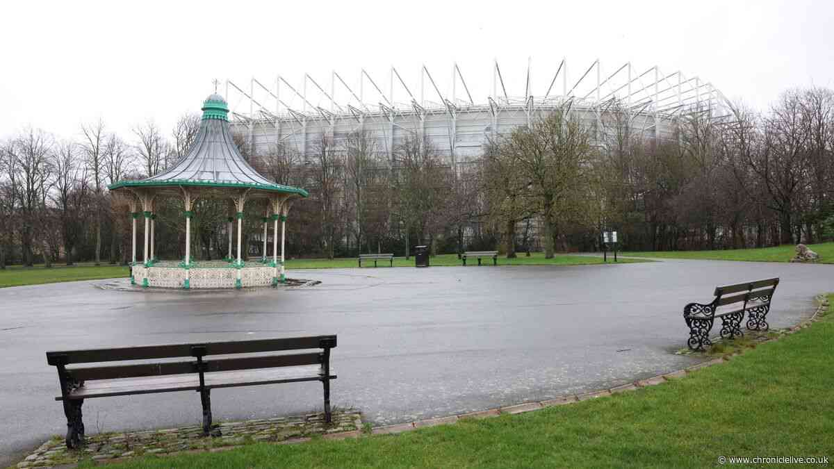 'Unblock barriers' stadium regeneration promise is 'significant opportunity' for Newcastle