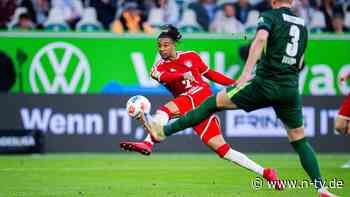Pérez will Olise holen: Bericht: Bayern-Star ist Hauptfigur im Real-Wahlkampf