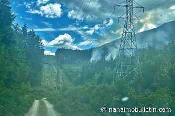 Wildfire south of Ladysmith being held