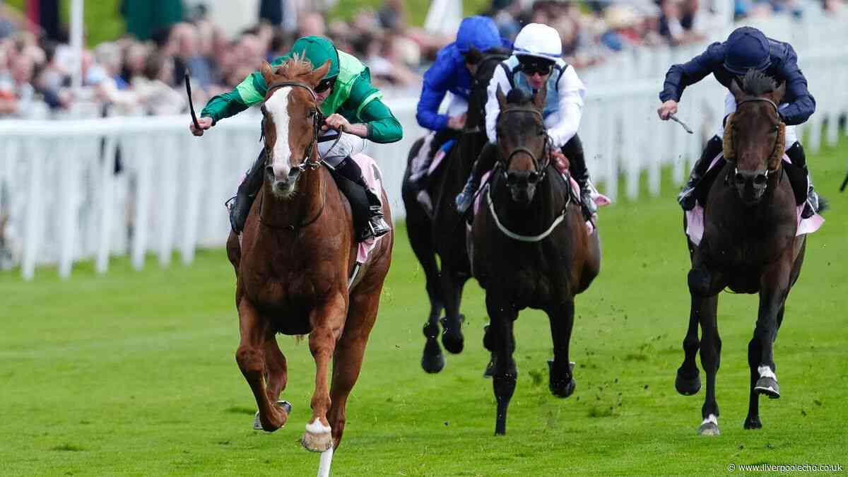 Horse Power: Benvenuto Cellini to win the Betfred Derby at Epsom
