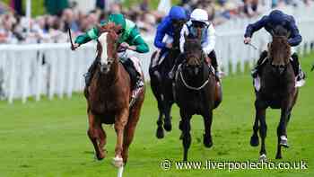 Horse Power: Benvenuto Cellini to win the Betfred Derby at Epsom
