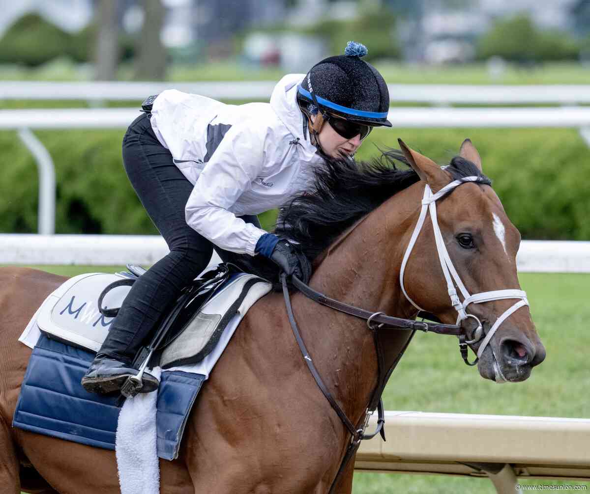 Back at Saratoga, Journalism aims for win in prestigious Met Mile
