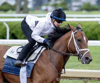 Back at Saratoga, Journalism aims for win in prestigious Met Mile