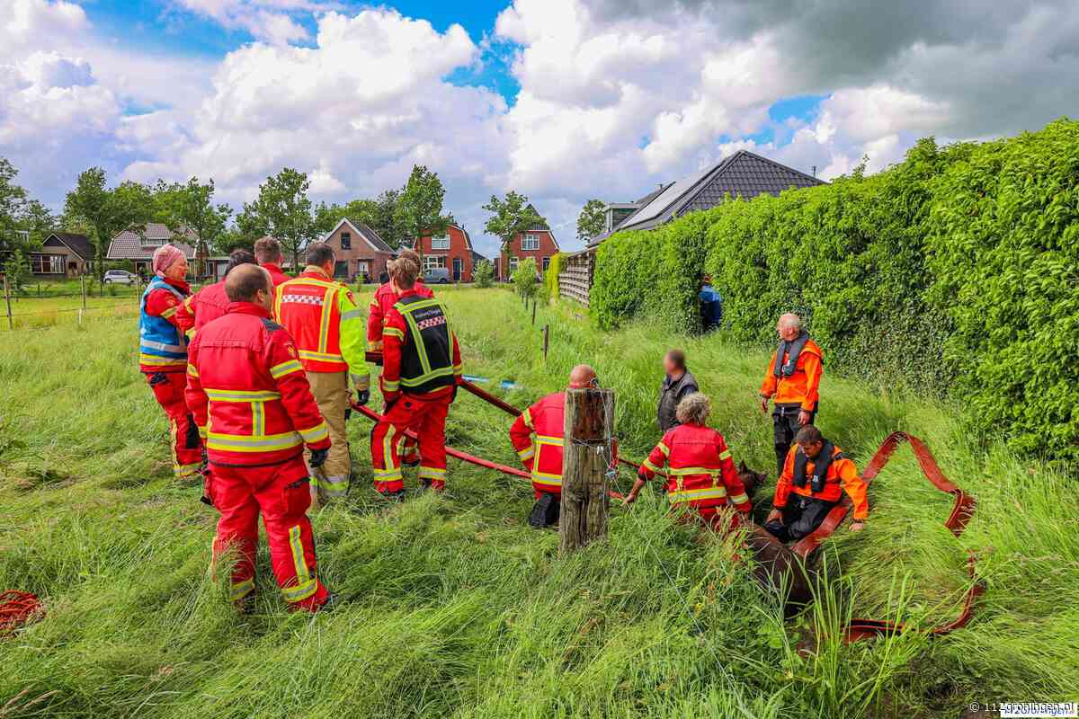 Paard raakt in sloot bij Nuis