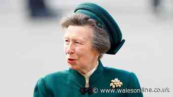 Princess Anne's 'true colours' laid bare as she makes one move that says it all