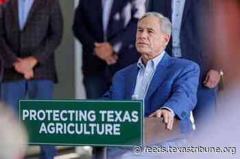 Gov. Greg Abbott expands state disaster declaration on screwworm infestation in South Texas