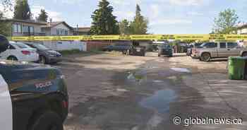 Calgary police investigating southeast shooting