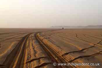 At least 49 die of thirst after truck breaks down in Sahara Desert