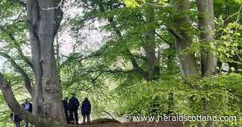 Trees planted by Robert Burns identified on the farm he designed and built