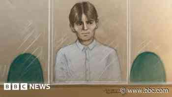 Norway teen boasted of UK kill mission, court told