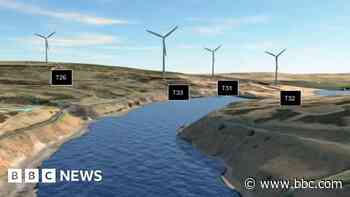 MP opposes wind farm plan over risk to peatland
