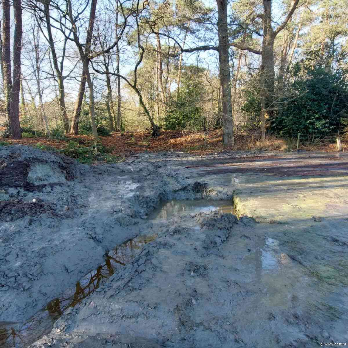 Dassen gevlucht vanwege plassen vloeistof: TenneT voor de rechter na aanleg kabel