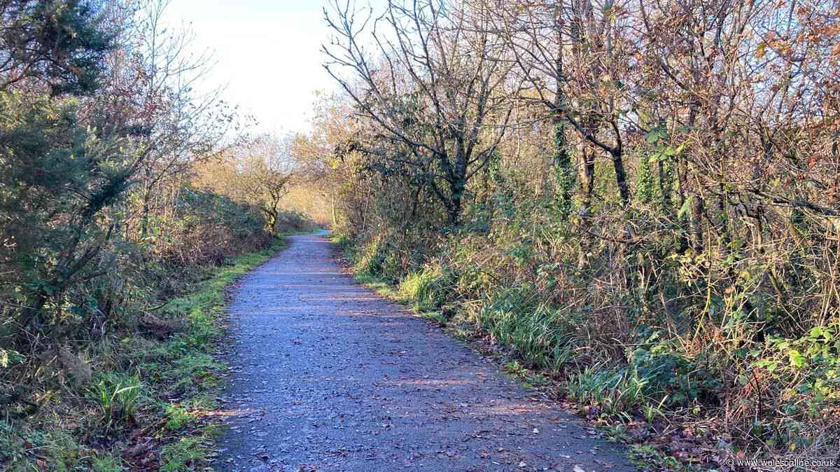 Your chance to have a say about new cycling and walking paths in Swansea