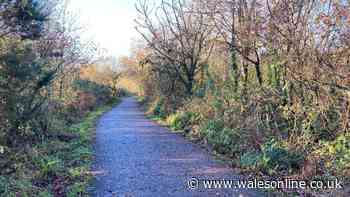 Your chance to have a say about new cycling and walking paths in Swansea