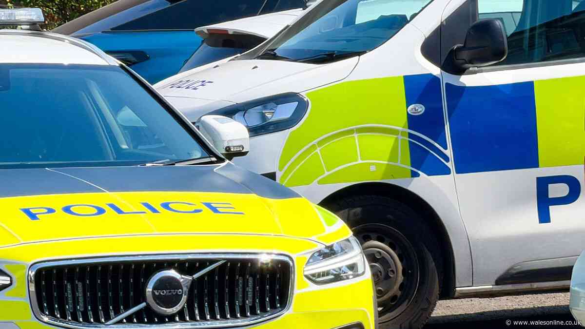 Man left with several broken bones after alleged phone robbery
