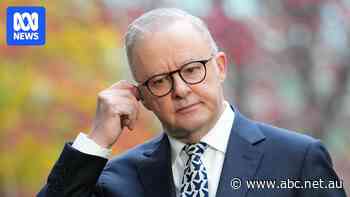 Anthony Albanese understands the Westminster system