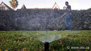 Water restrictions imposed for Vernon area, including 70% reduction for farmers