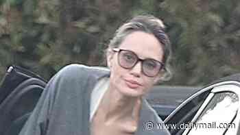 Angelina Jolie celebrates her 51st birthday with her children... after son Maddox's brutal blow to dad Brad Pitt