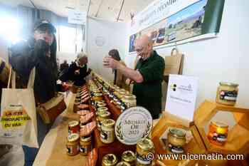 Fête des producteurs du Var, ce week-end à Saint-Raphaël : quatre savoureuses raisons de s’y rendre
