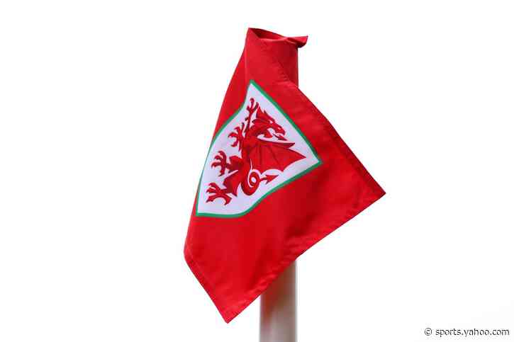 Wales miss chance to go top of World Cup qualifying group with Montenegro draw