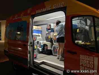 Austin Pets Alive! transports 70 animals to new homes