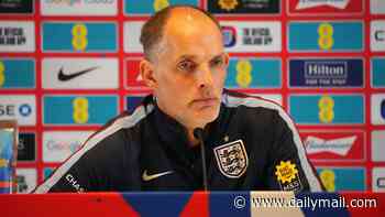 Thomas Tuchel reveals his fears over the pitch England will play on in first pre-World Cup friendly but insists: 'It will not affect my selection'
