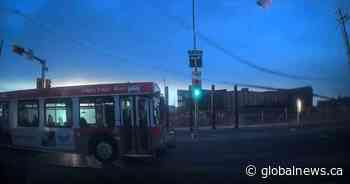Viral videos show Calgary Transit buses running red lights, stop signs