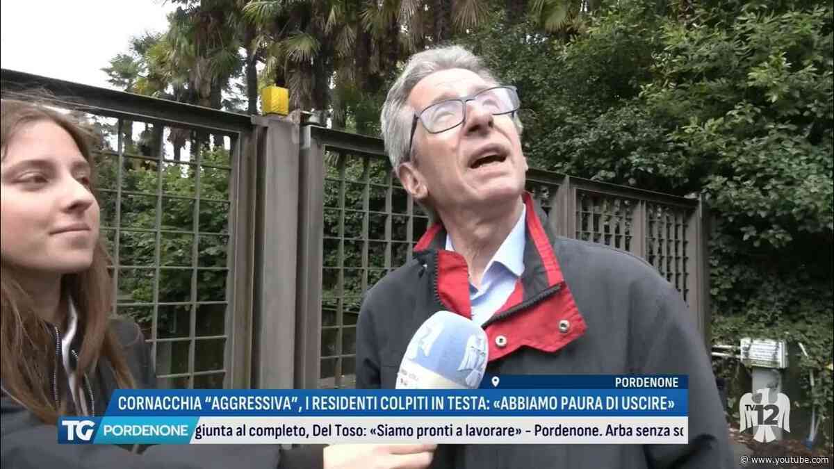 TG PORDENONE | 03/06/2026