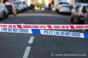Murder probe launched as man, 35, dies in double stabbing in east London